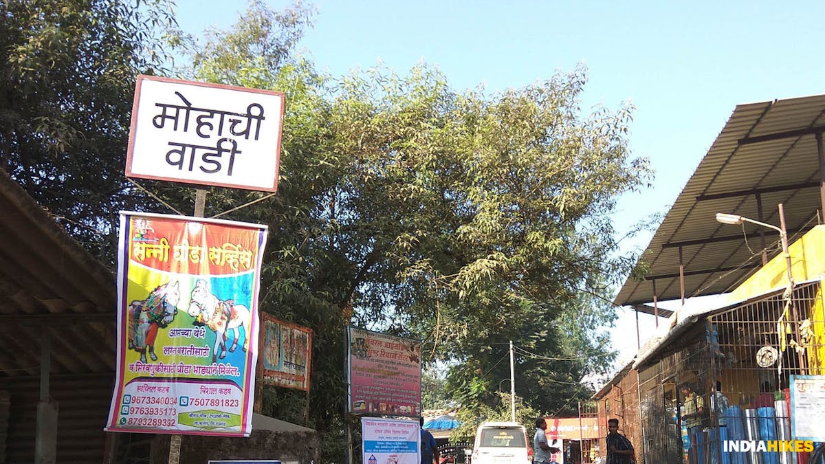 Mohachi wadi. Peb fort trek. Treks in Maharashtra. trekking in sahayadri