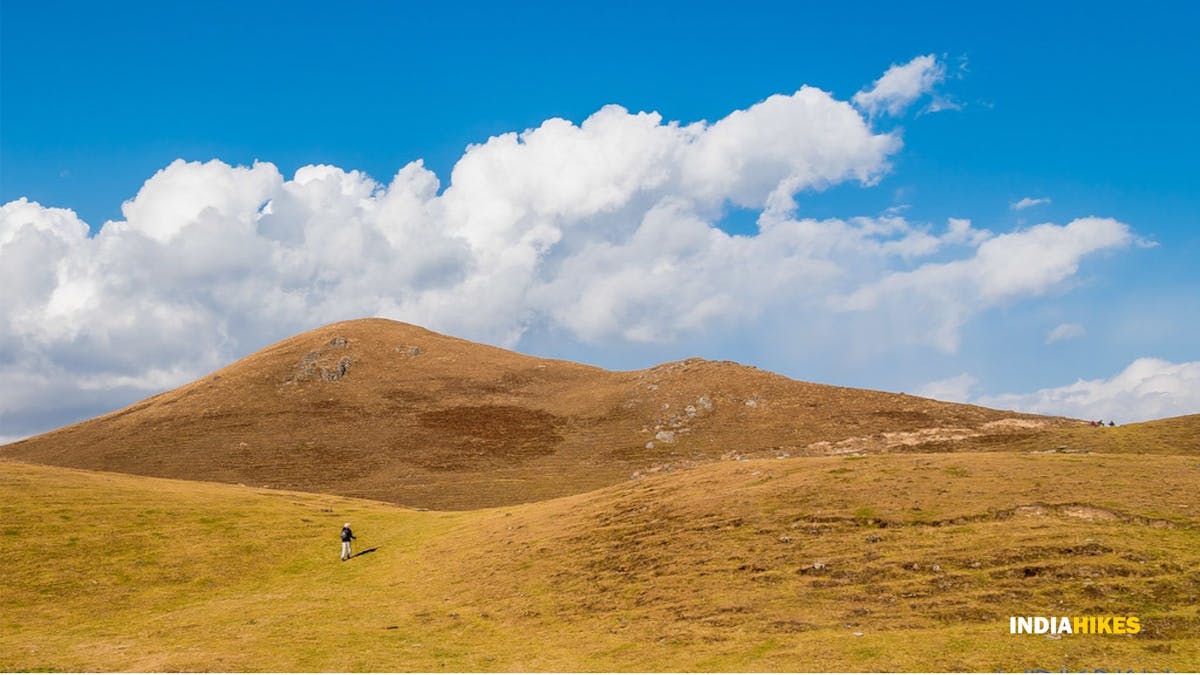 Dayara Bugyal Indiahikes - The meadows in autumn colours - Vinkrish - Indiahikes - September - October - November
