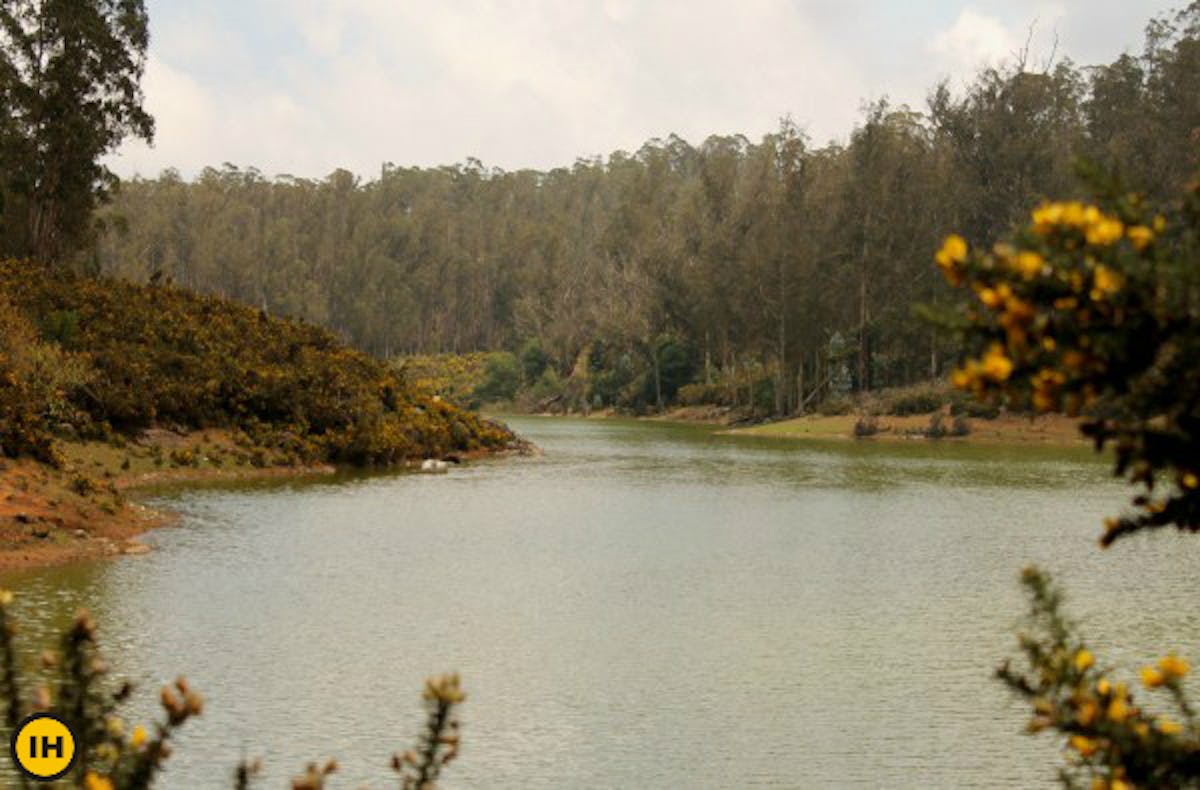 Nilgiris green lake trek