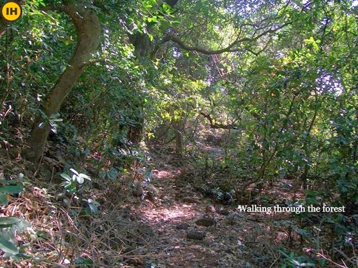 Sagargad Trek