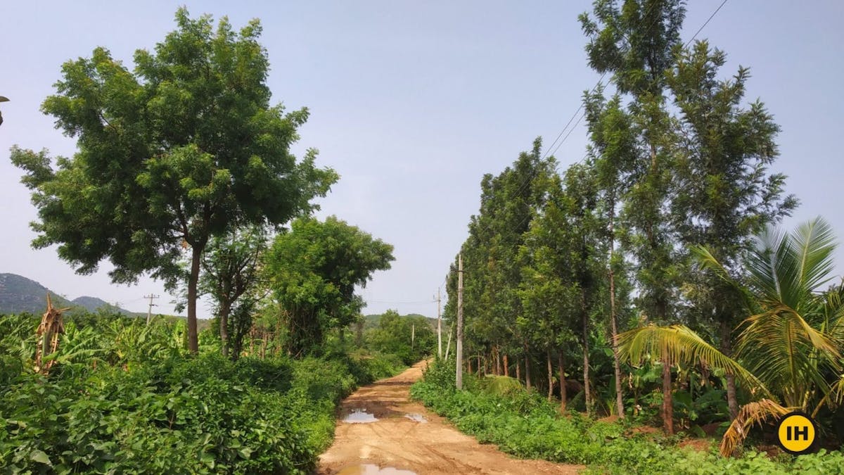 Halu-Chilume-Trek-Dirt-Trail-Indiahikes-Saurabh Sawant