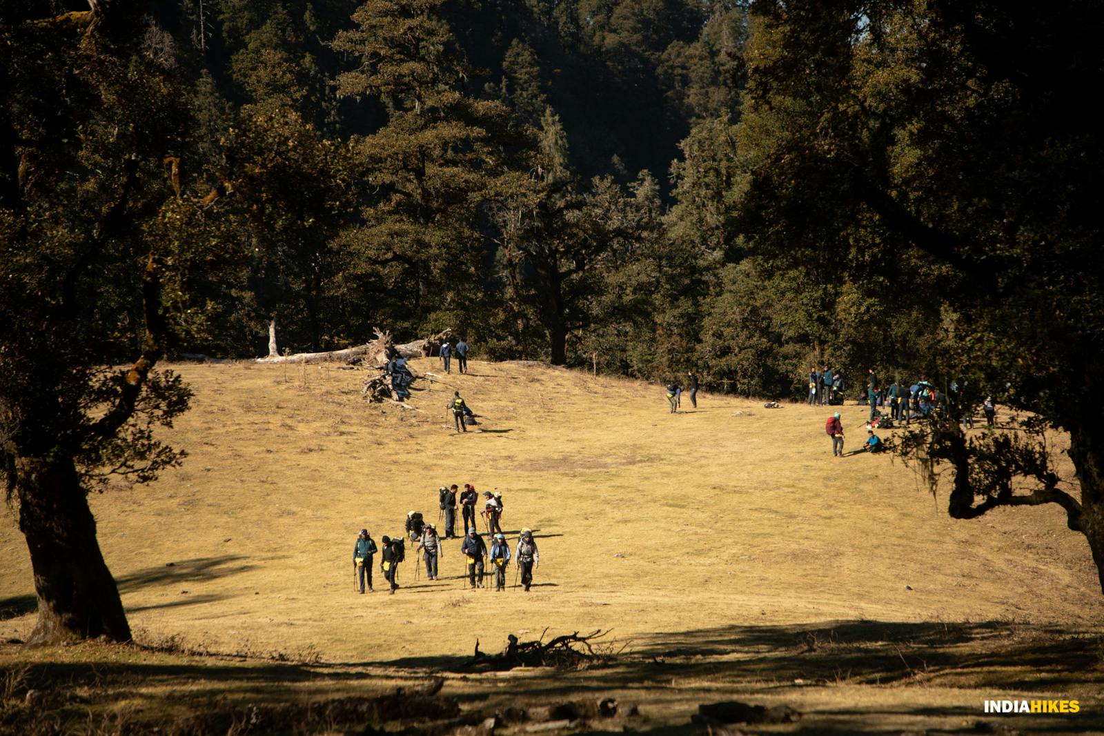 kedarnath near trek
