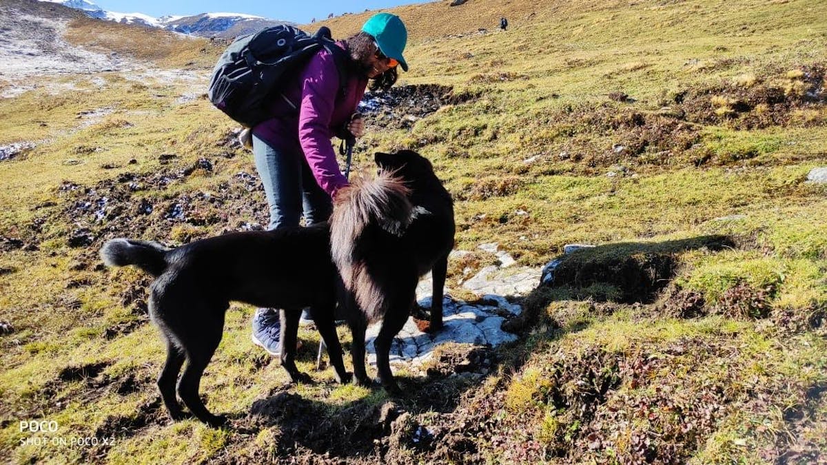 Nandini petting dogs during the trek