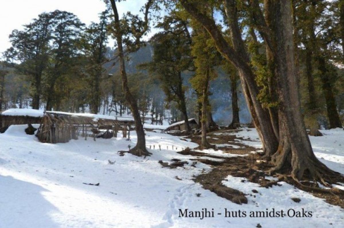 dodital winter trek - manjhi - indiahikes archives