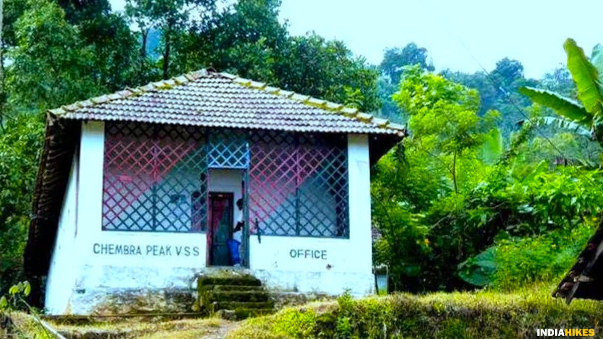 Forest office, Chembra lake, Chembra peak, chembra trek, heart-shaped lake, treks in Kerala, Indiahikes
