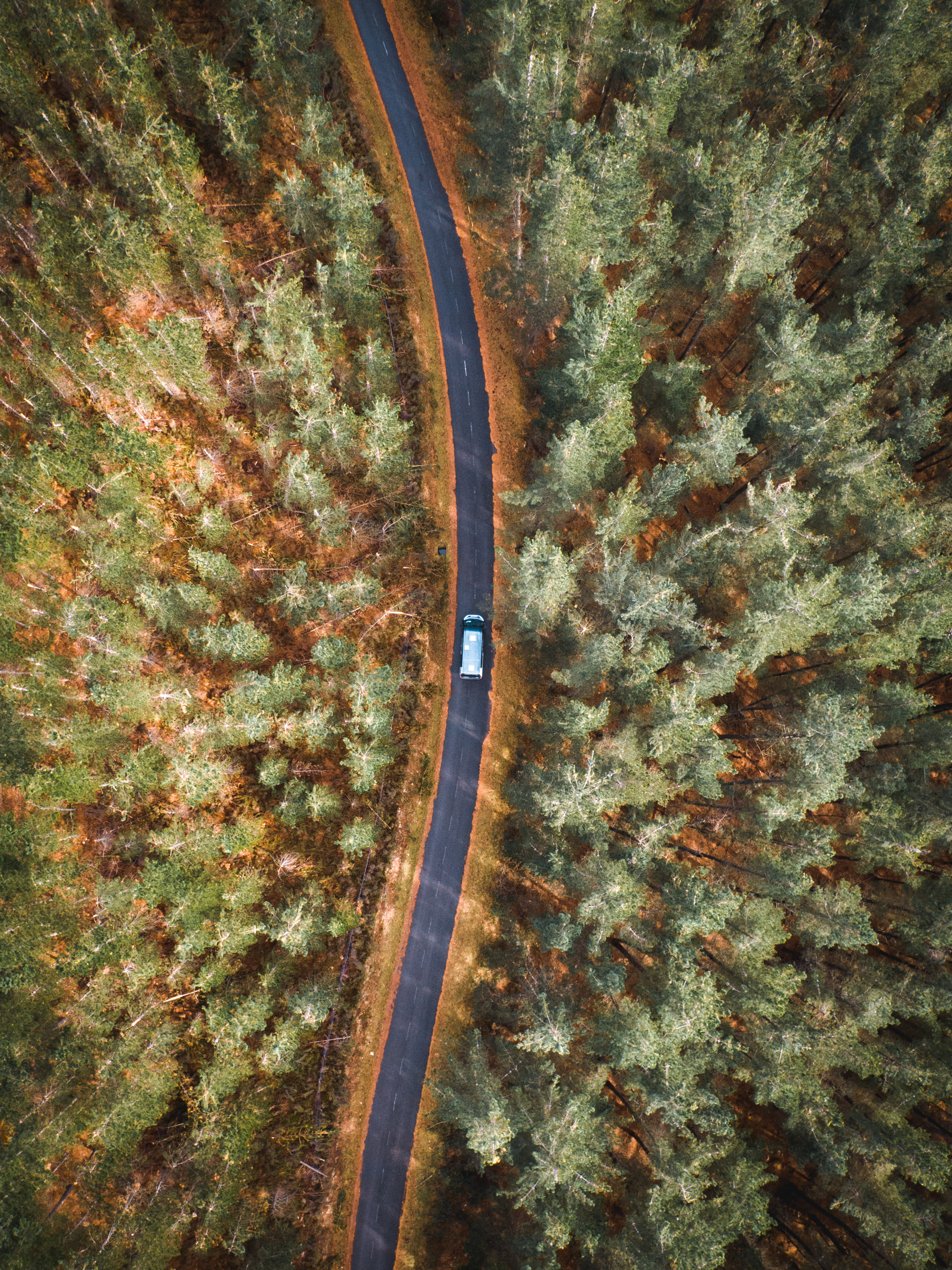 Discover Indie Campers' New Campervan Names | Find Your Perfect Match