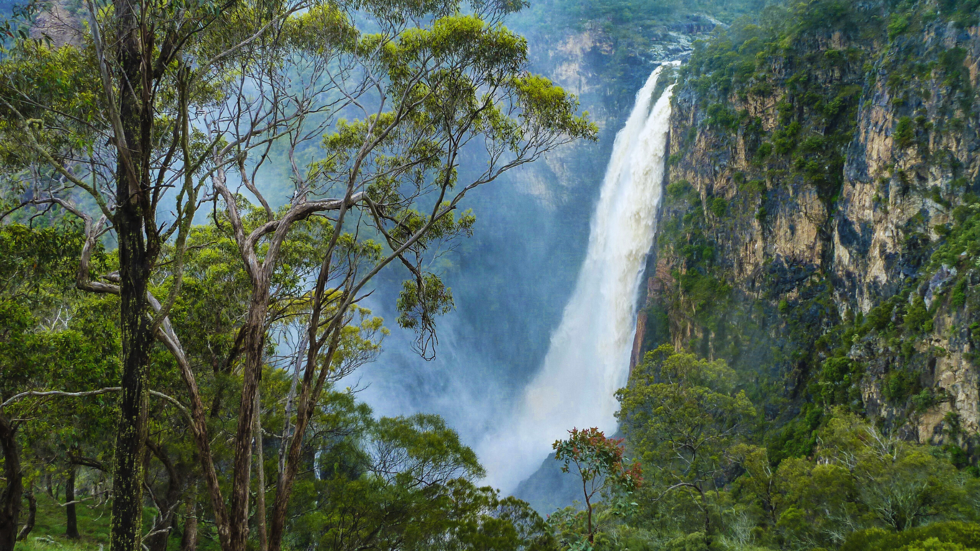 Stop 4: Bellingen