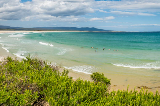 Stop 5. Mallacoota & Croajingolong National Park