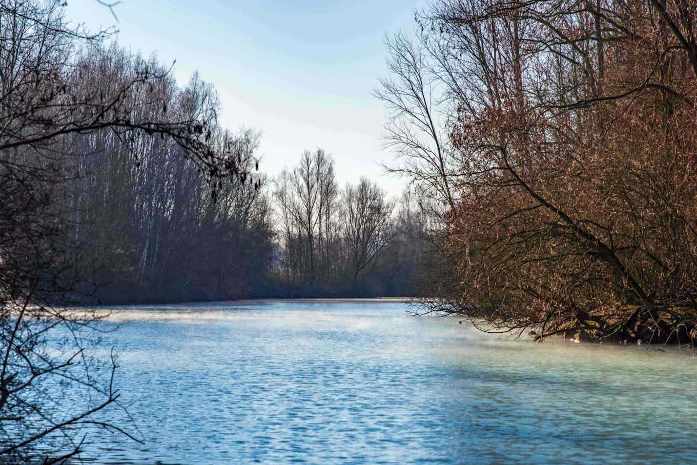 Blauer Fluss mit Bäumen am Ufer