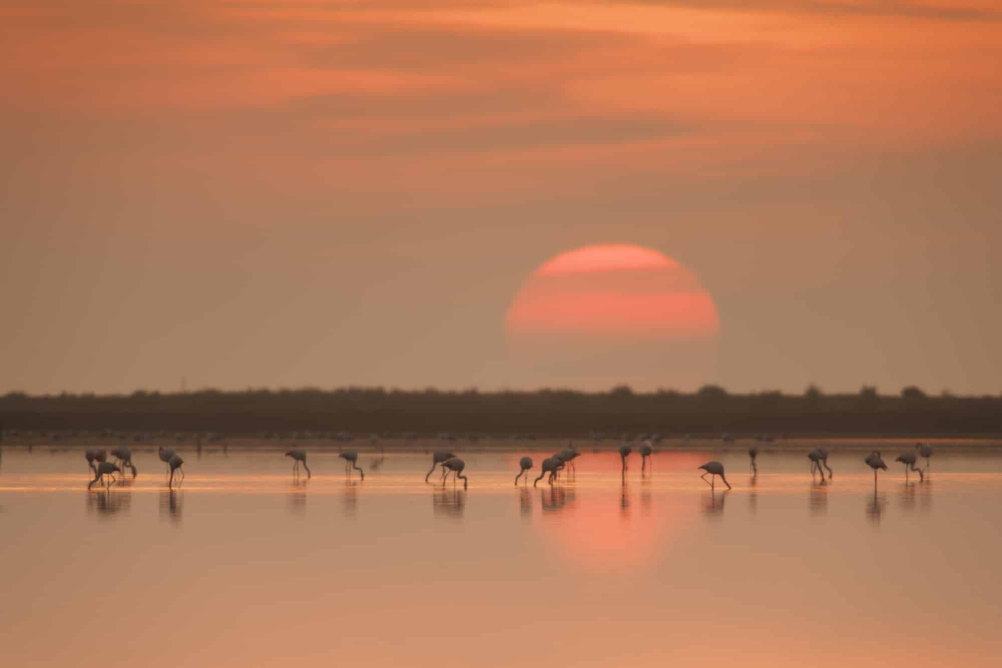 Tappa 1: Delta dell'Ebro