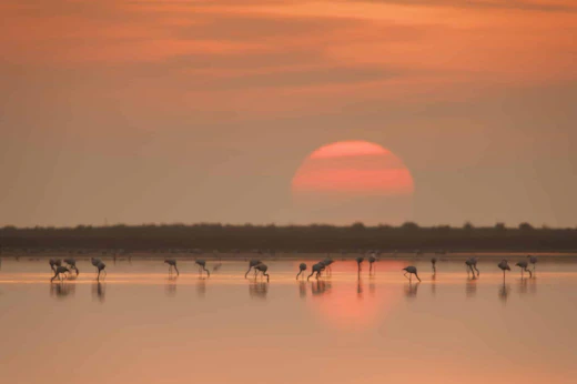 Tappa 1: Delta dell'Ebro