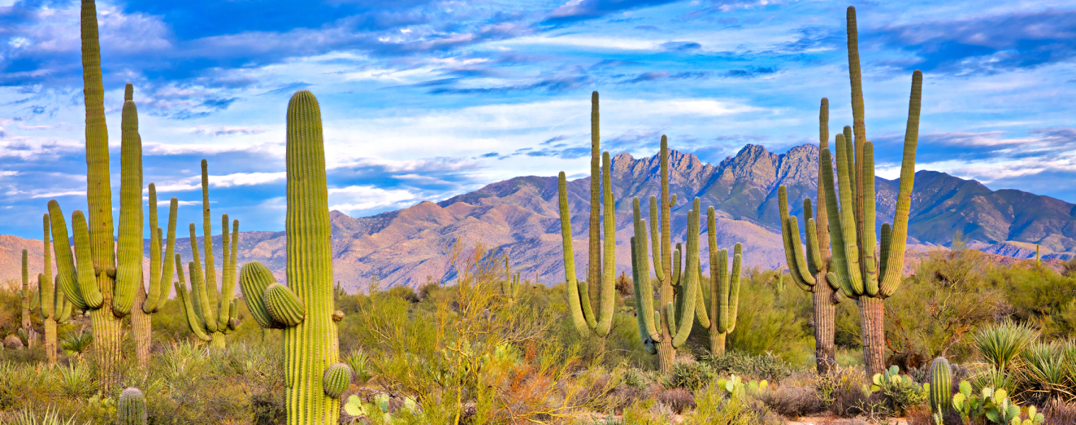 Campervan and RV Rental in Phoenix - Best Deals