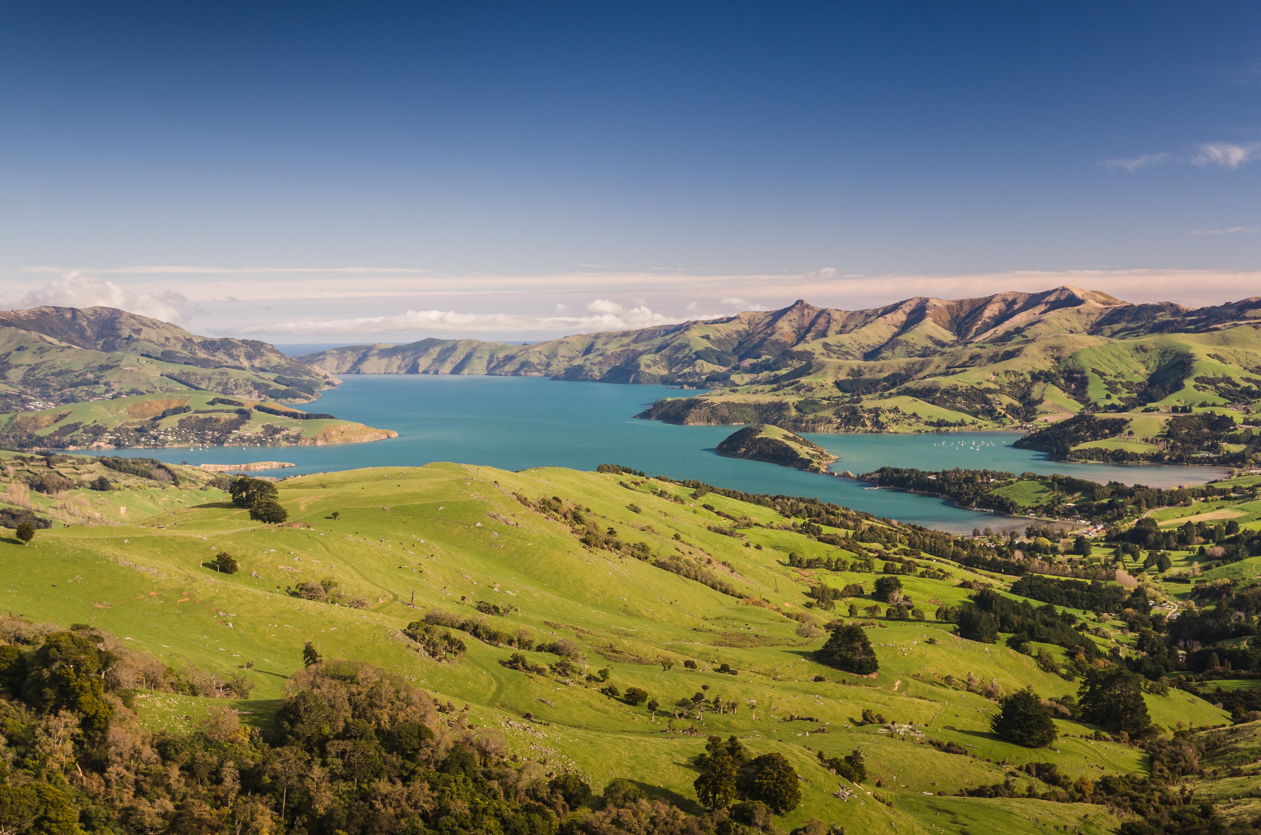 Top National Parks and Scenic Drives Near Christchurch