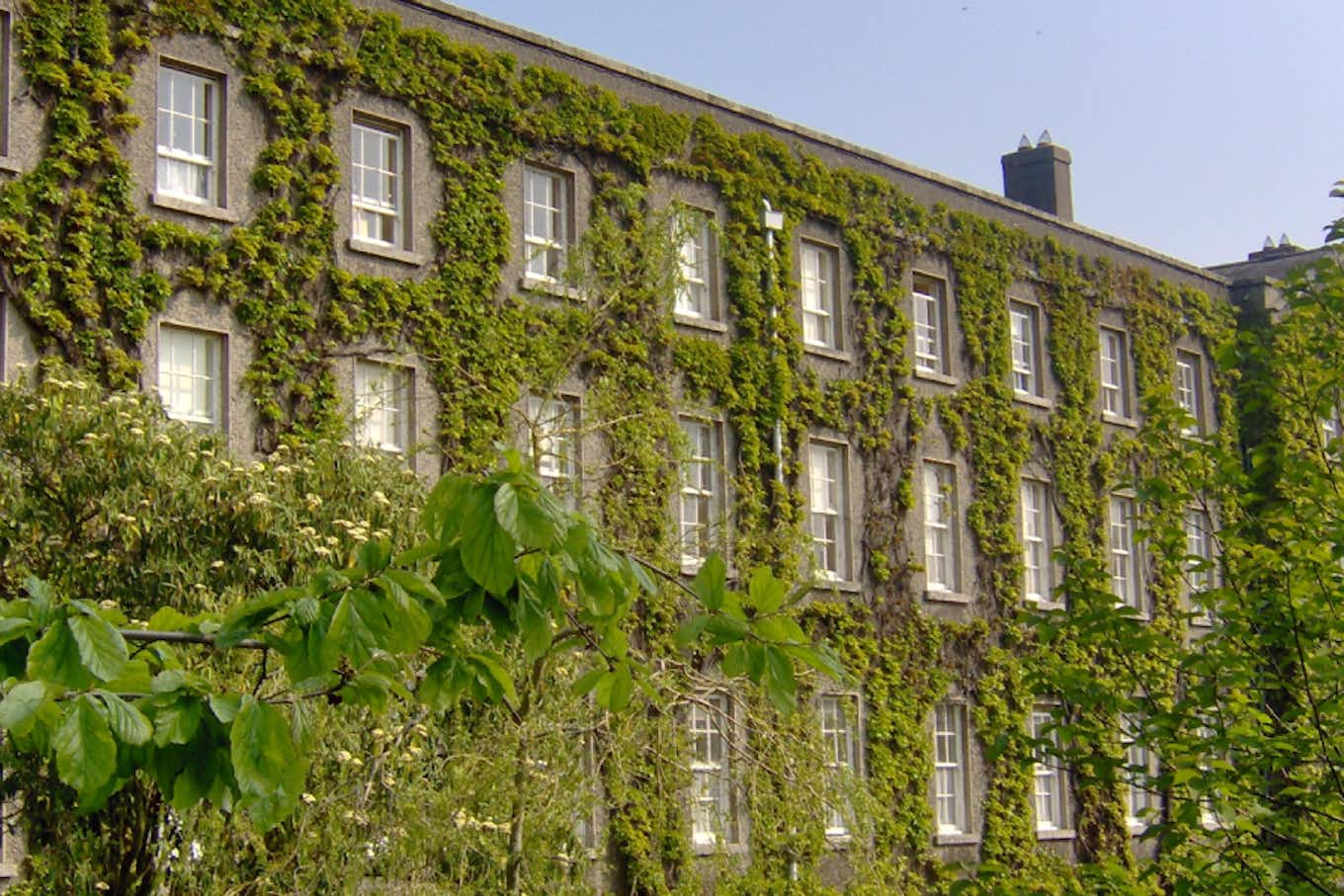 Building covered in ivy