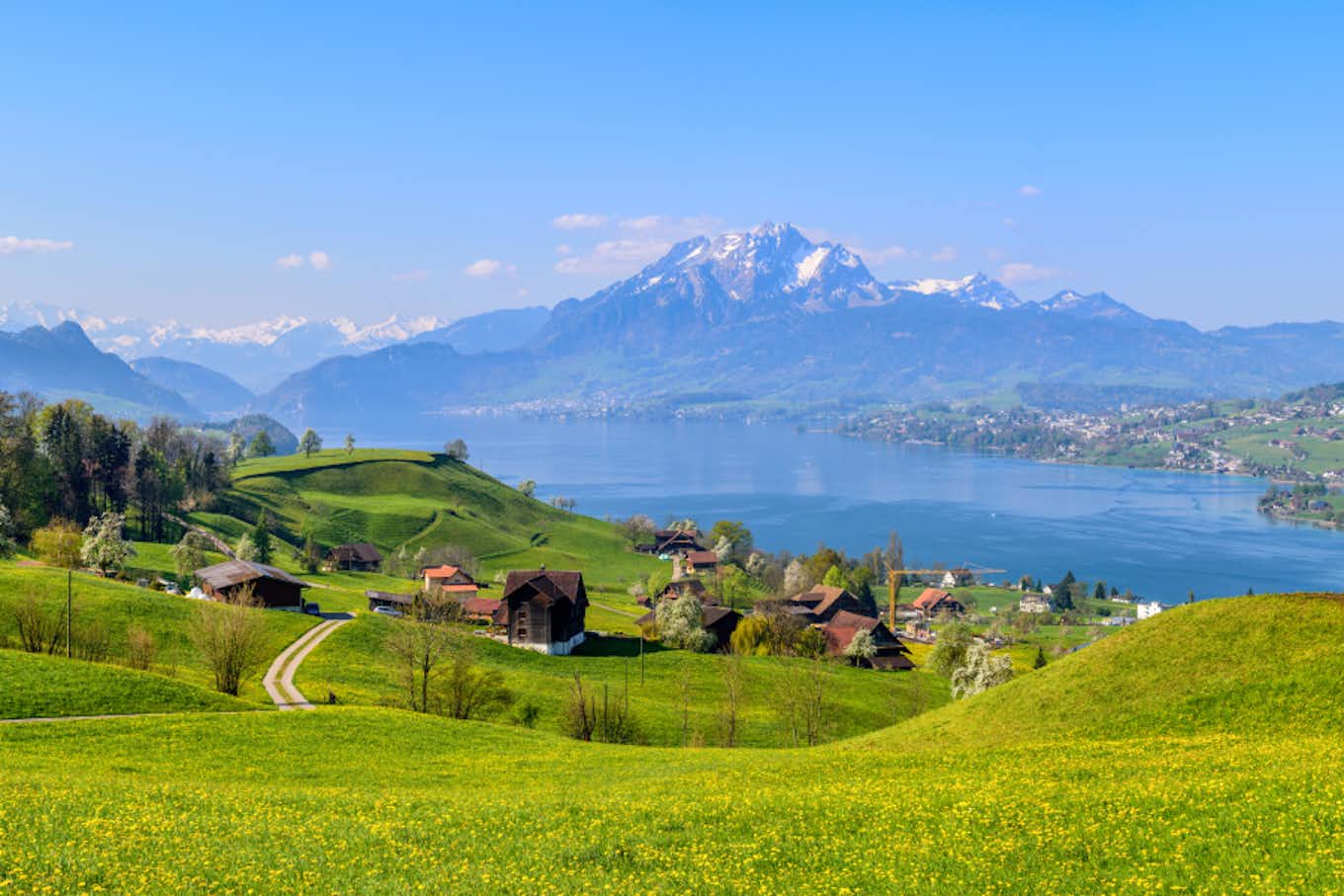 Grüne Wiesen mit Blick auf die Berge in Luzern
