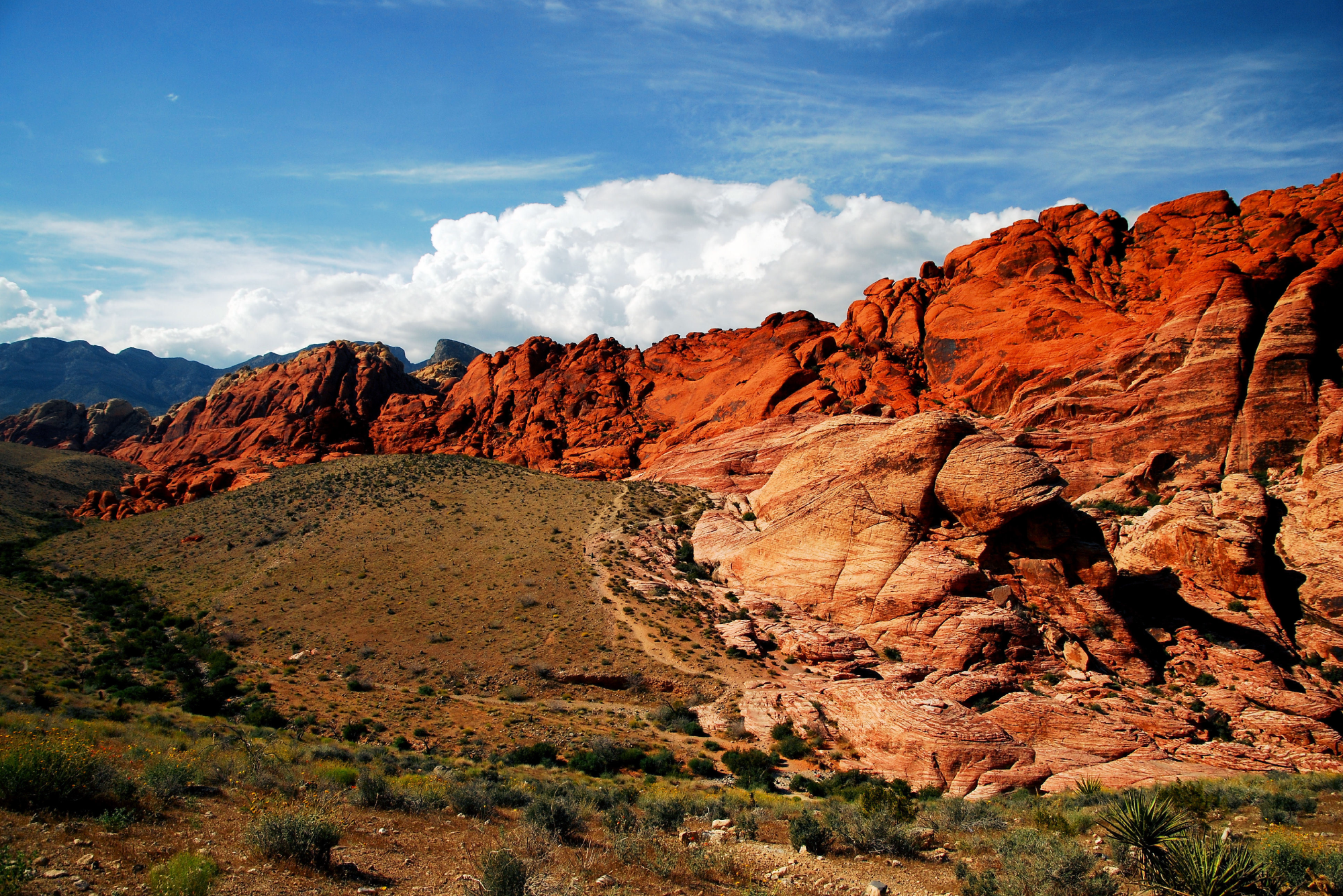 Stop 2: Red Rock Canyon State Park