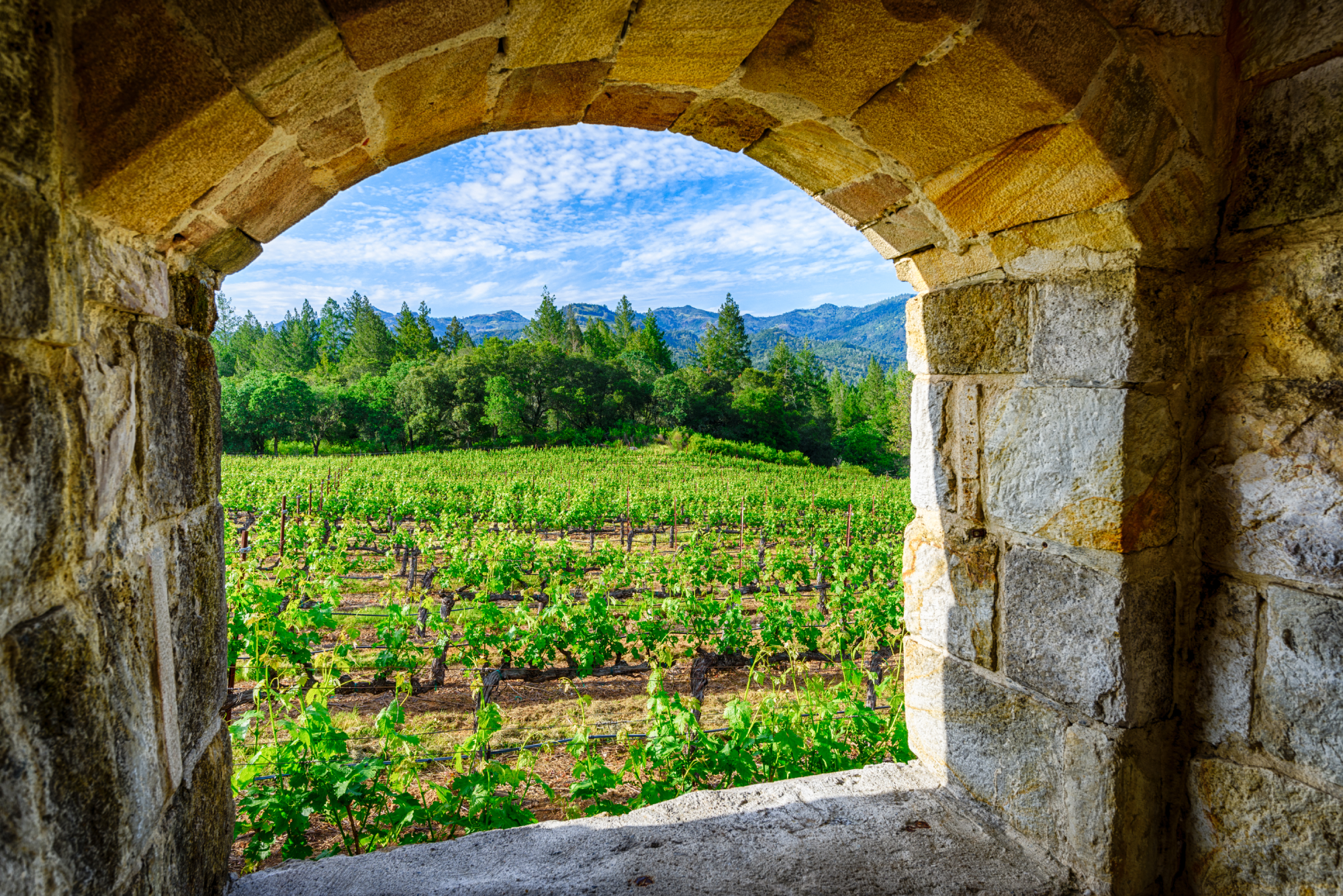 Stop 4: Napa