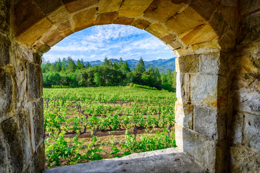 Stop 4: Napa