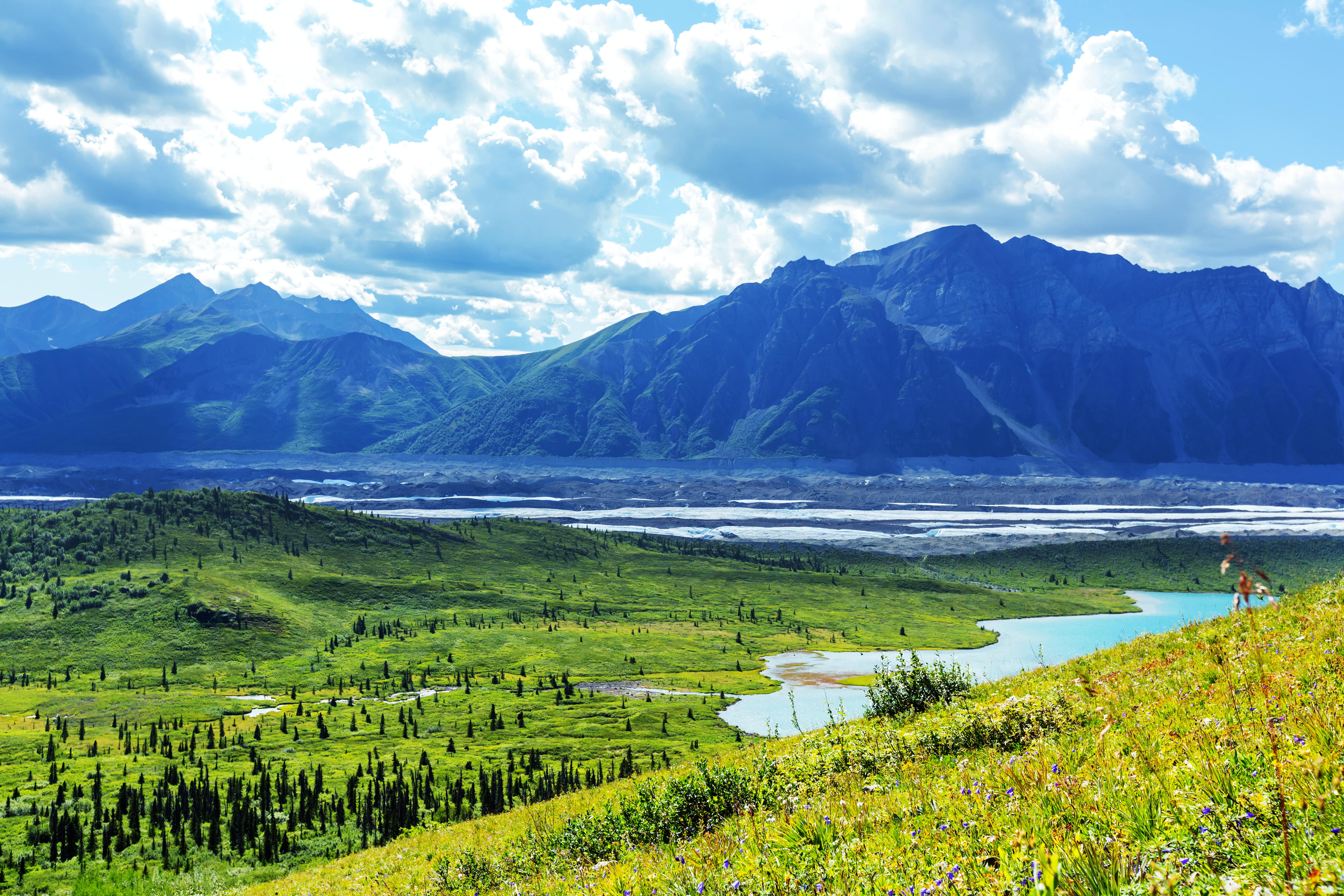 Denali and the Parks Highway Corridor