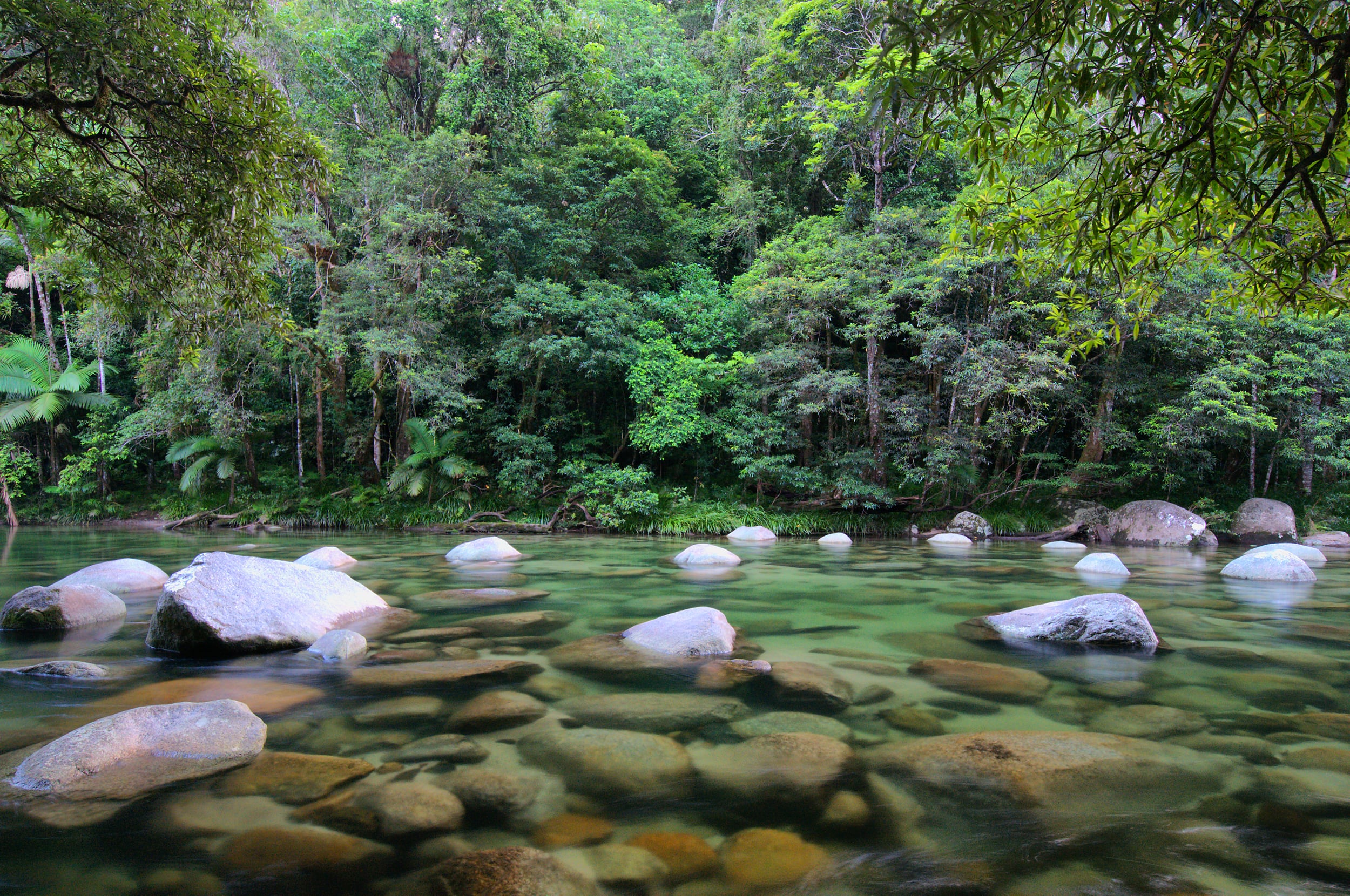 Top National Parks and Scenic Drives Near Cairns