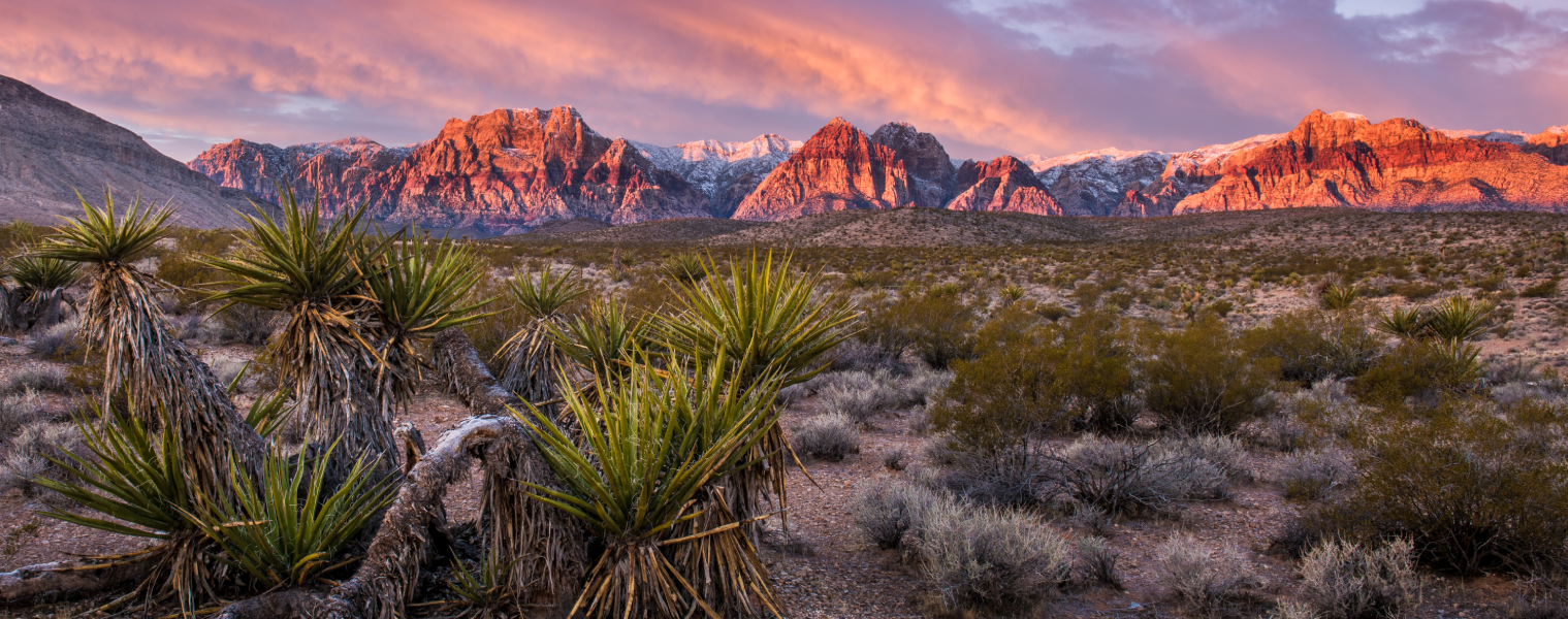 Top National Parks and Scenic Drives Near Las Vegas