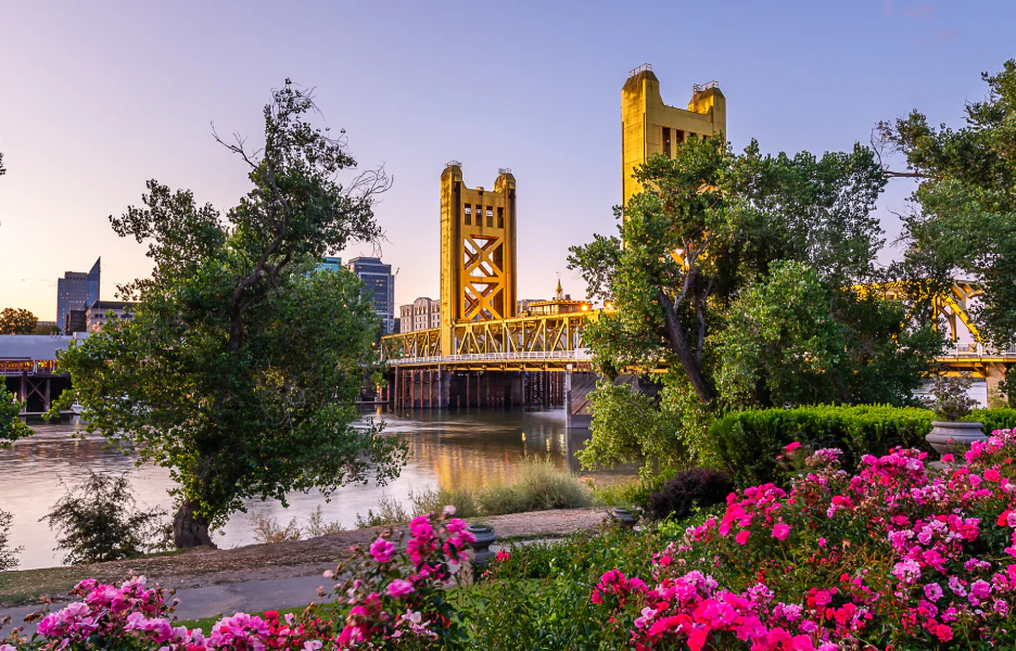 Sacramento Reviews