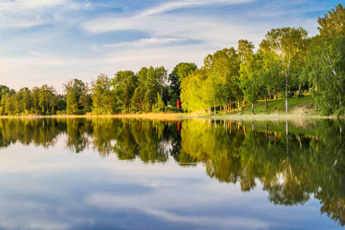 En sjö och många träd i Södertälje