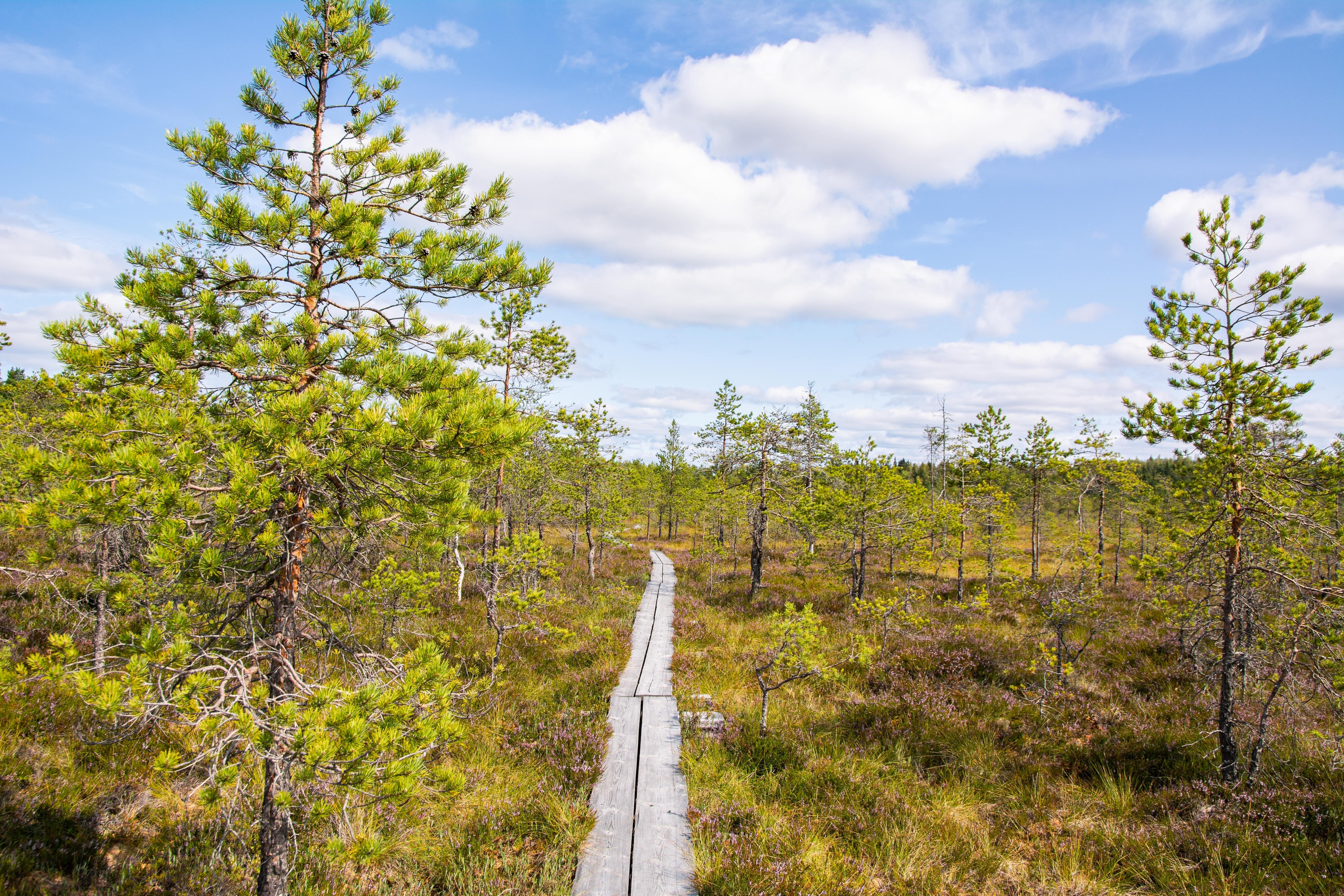 Top National Parks and Scenic Drives Near Helsinki