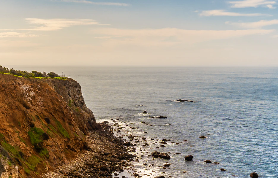 Torrance Reviews
