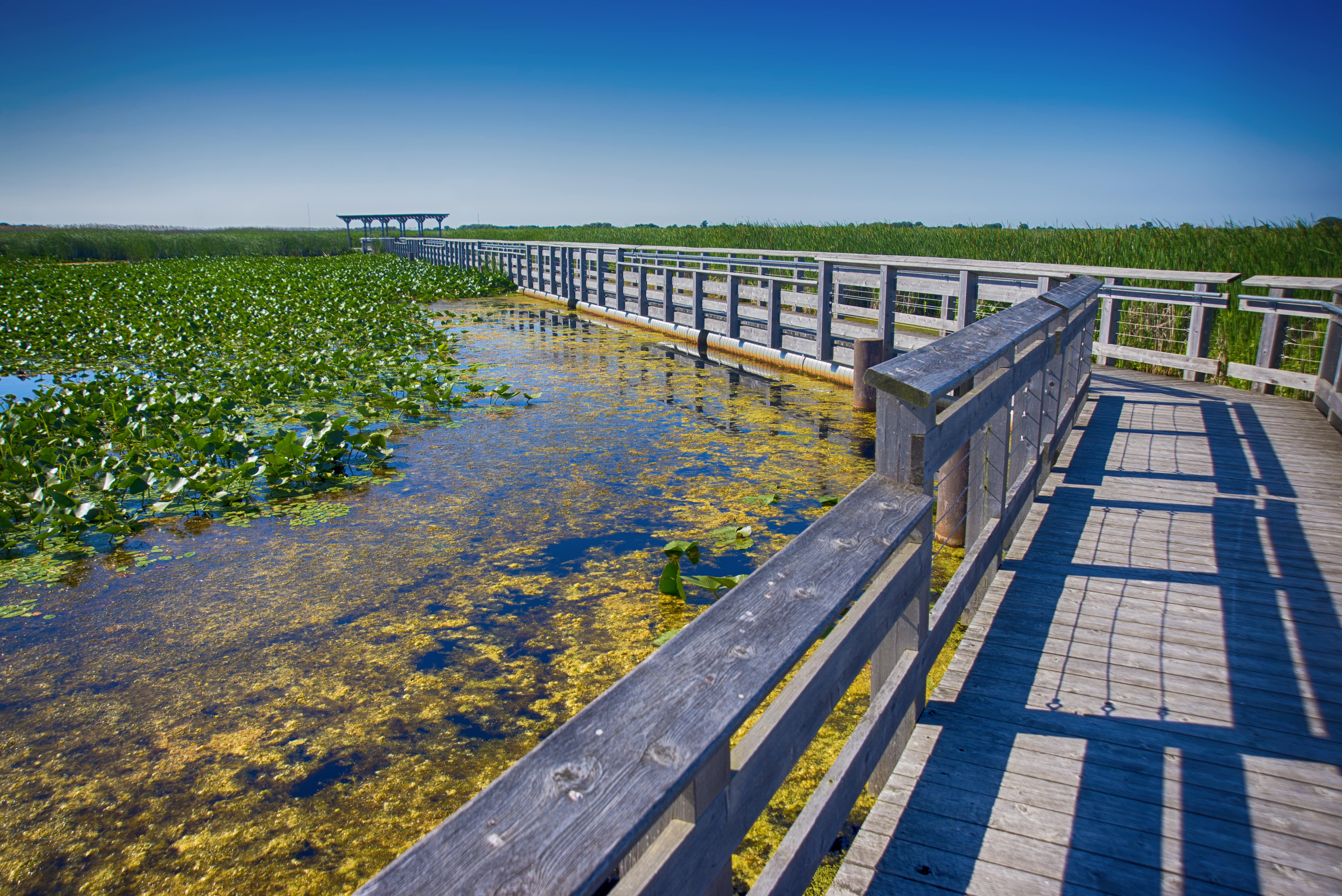 Top National Parks and Scenic Drives Near Toronto