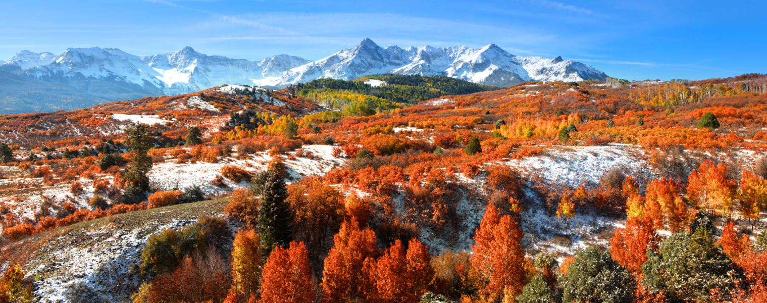 Campervan Rental near Dallas Indie Campers