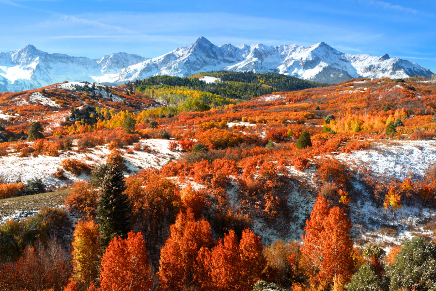 Campervan and RV Rental in Dallas