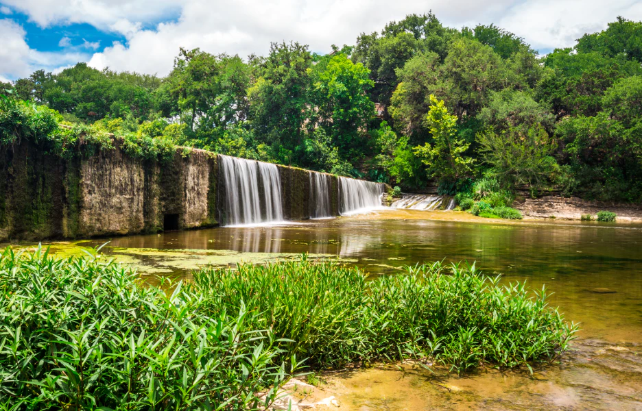 Austin Reviews