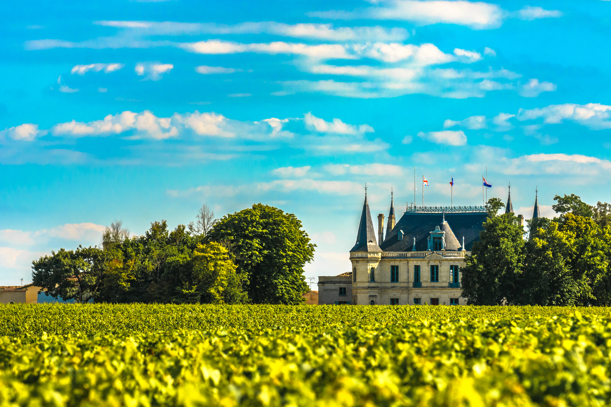 Bordeaux Road Trip