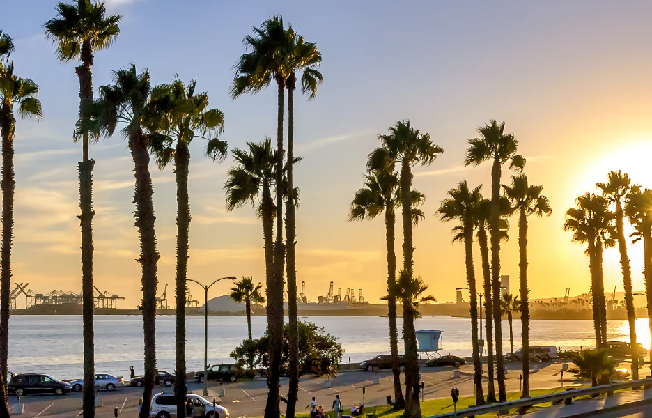 Long Beach Reviews