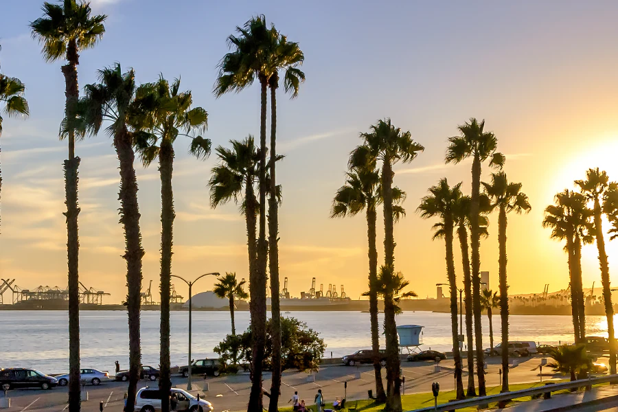 Campervan and RV Rental in Long Beach