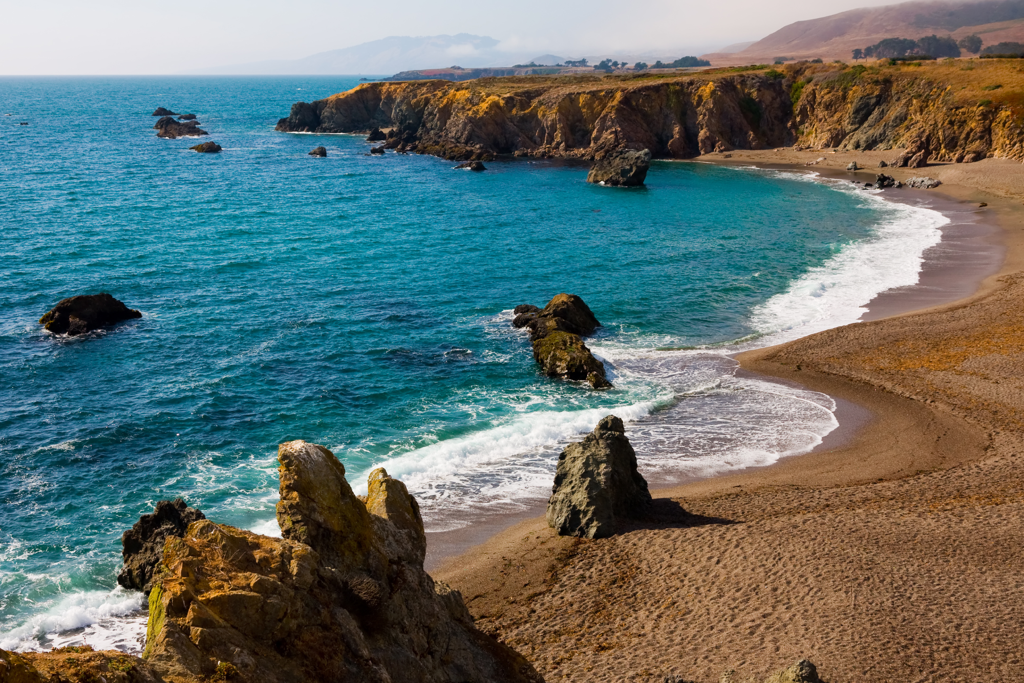 Bodega Bay