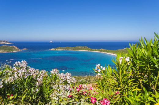 Local Tips for Olbia