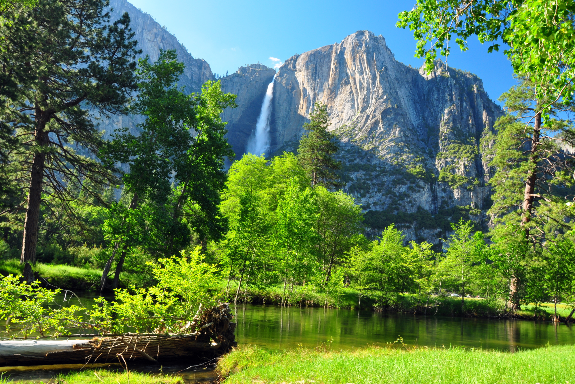 Campsites in the USA