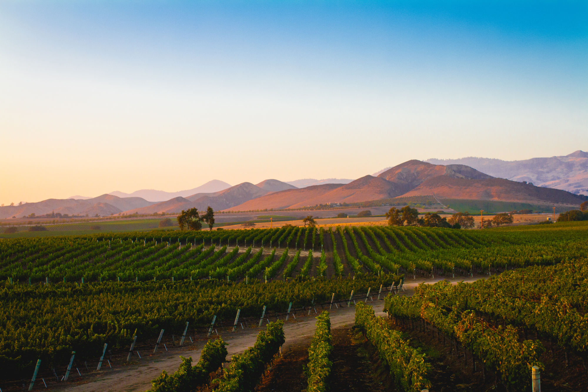 Étape 2 : Santa Ynez Valley