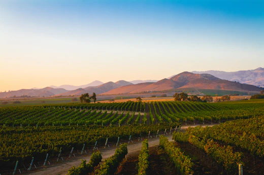 Étape 2 : Santa Ynez Valley