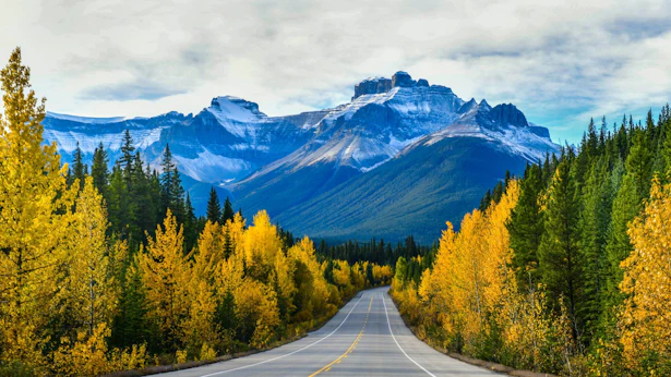 Stop 2: Icefields Parkway