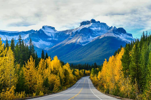 Stop 2: Icefields Parkway
