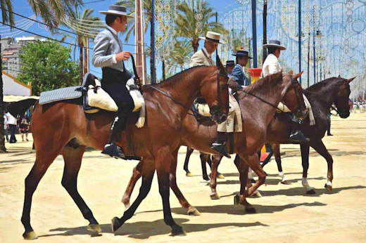 Stop 4: Jerez de la Frontera