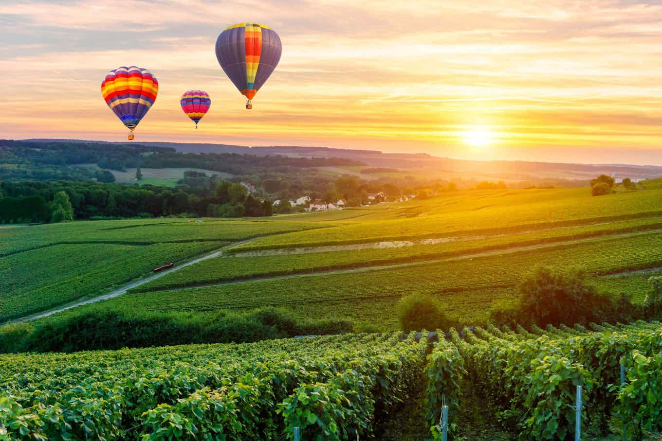 Ballon d'air et la nature