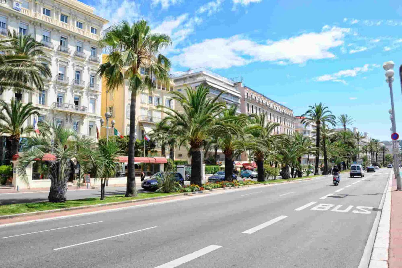 A road in Nice with palm trees