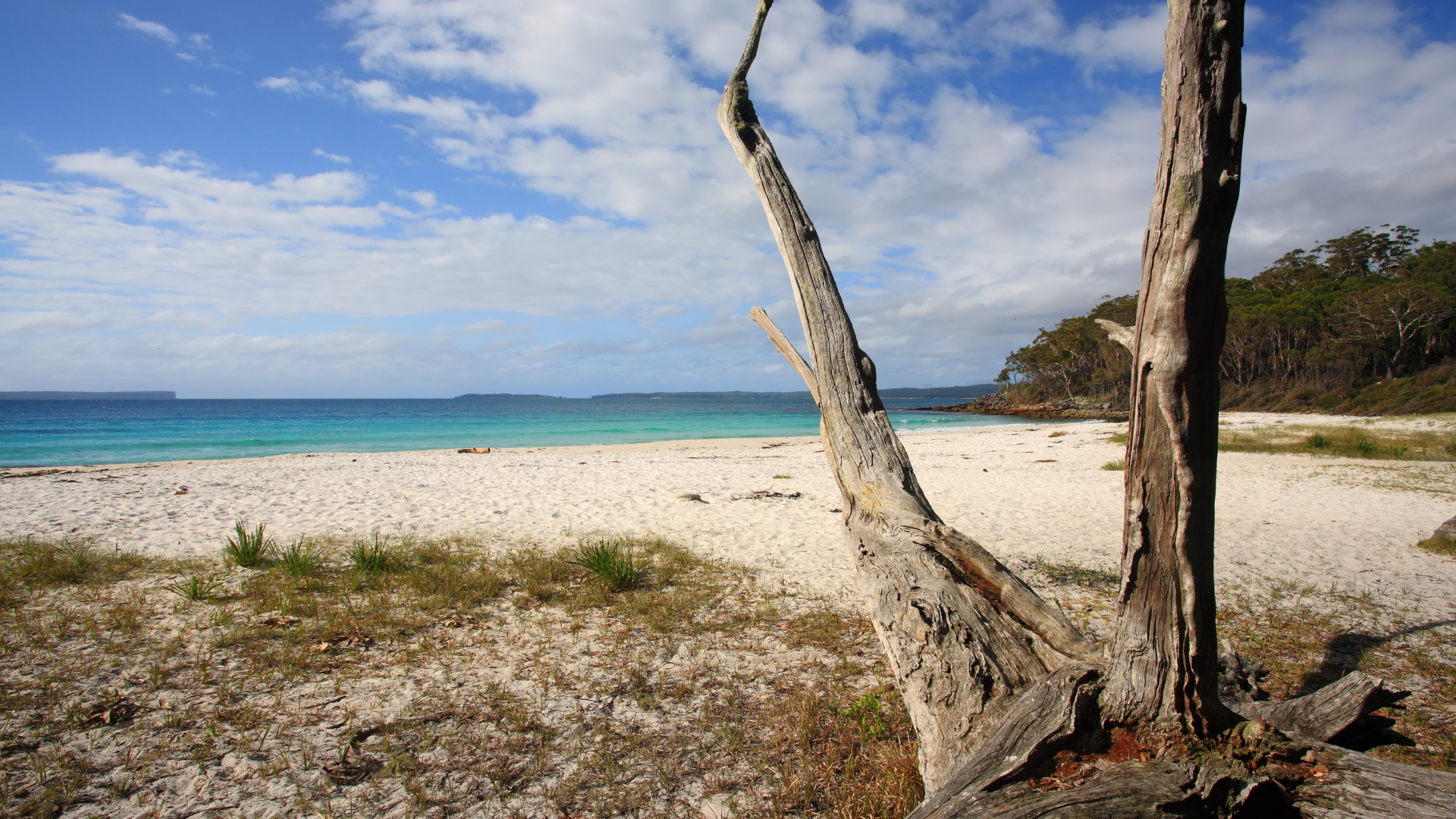 Stop 2. Jervis Bay