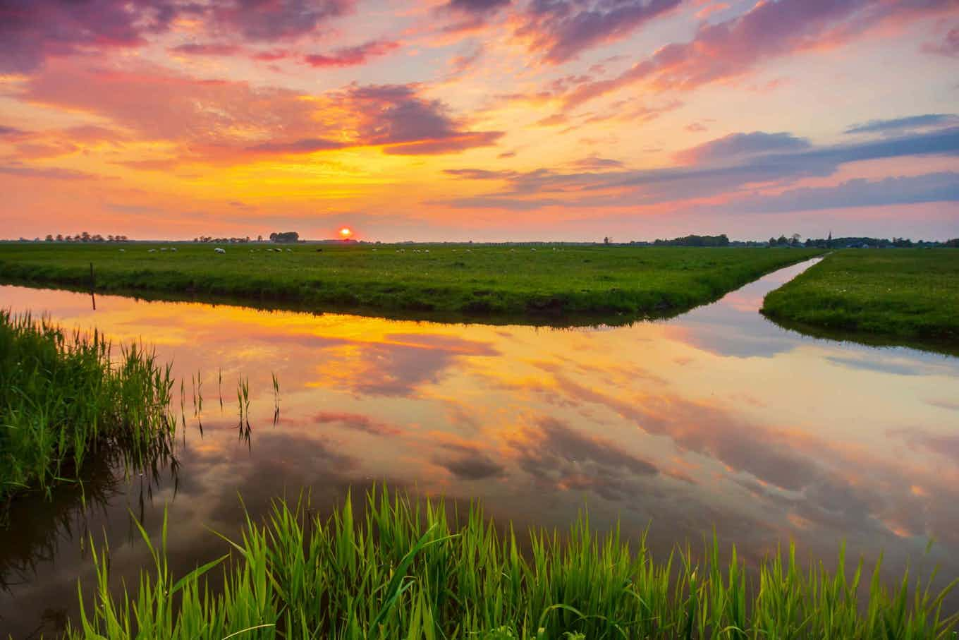 Een meer in Zoetermeer