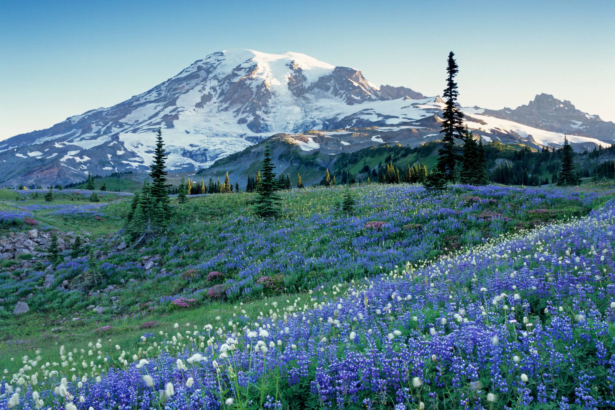 Stop 4: Mount Rainier National Park