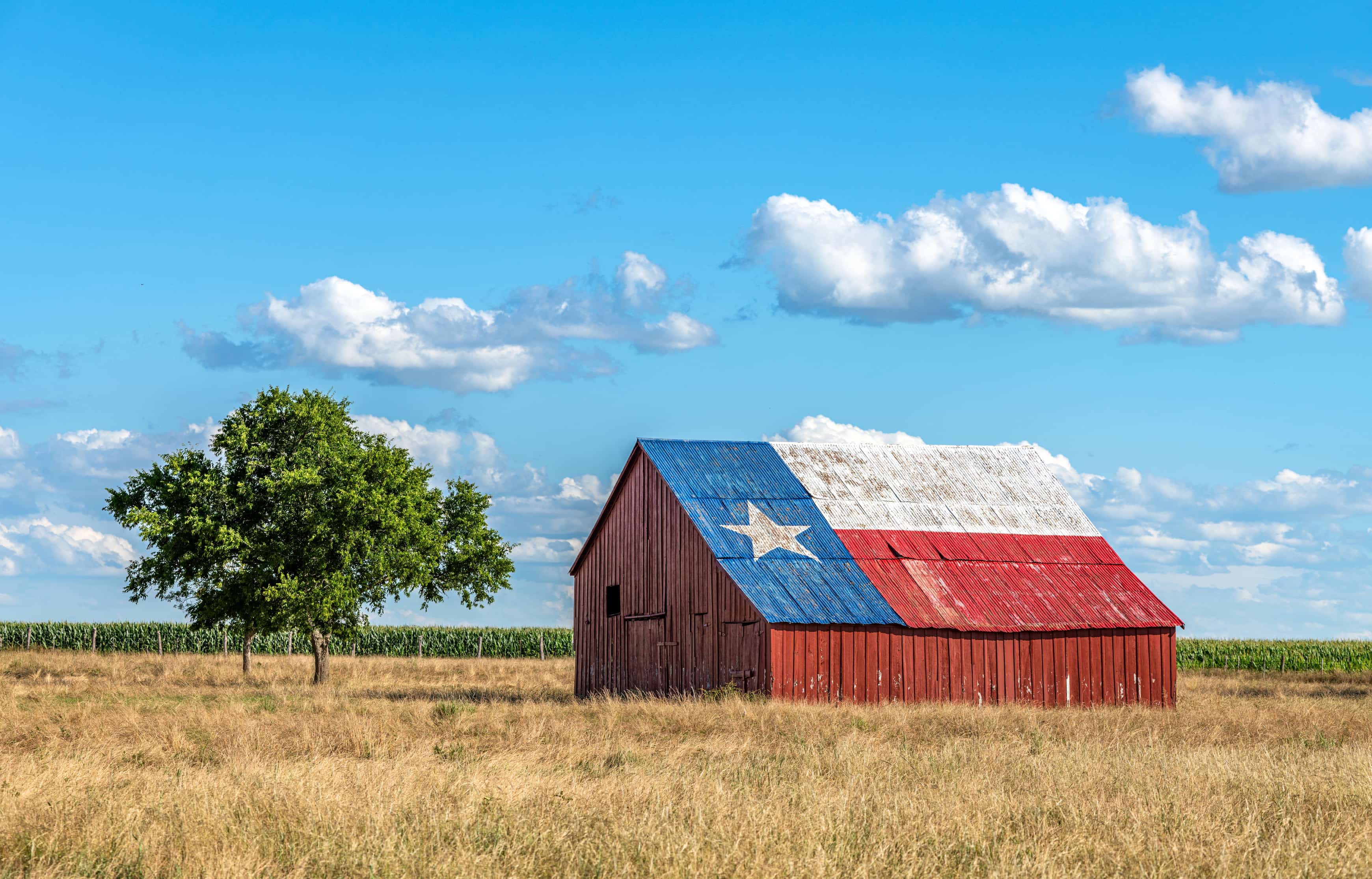 Texas Road Trip road trip